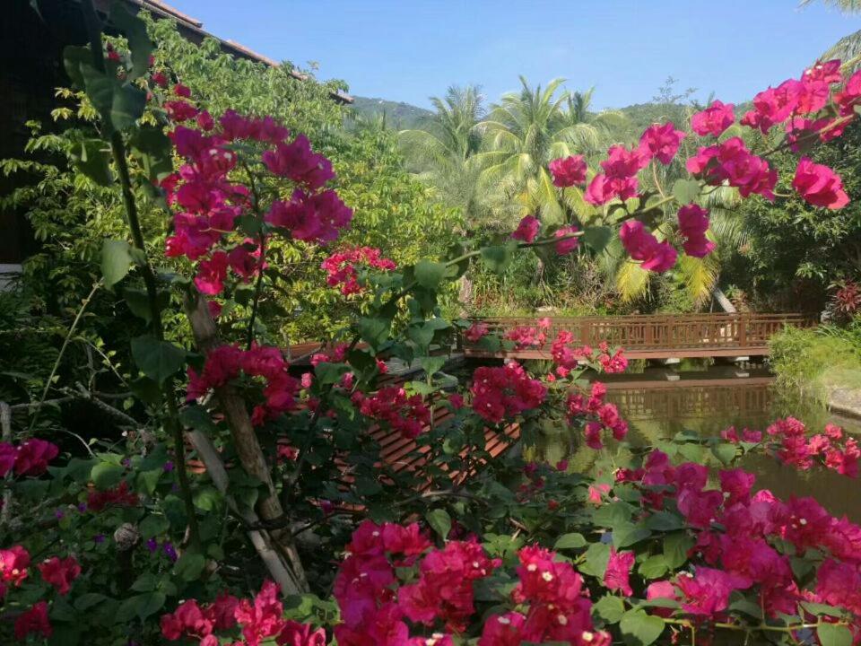 Stony Brook Villa Jianguo Resort Sanya Dış mekan fotoğraf