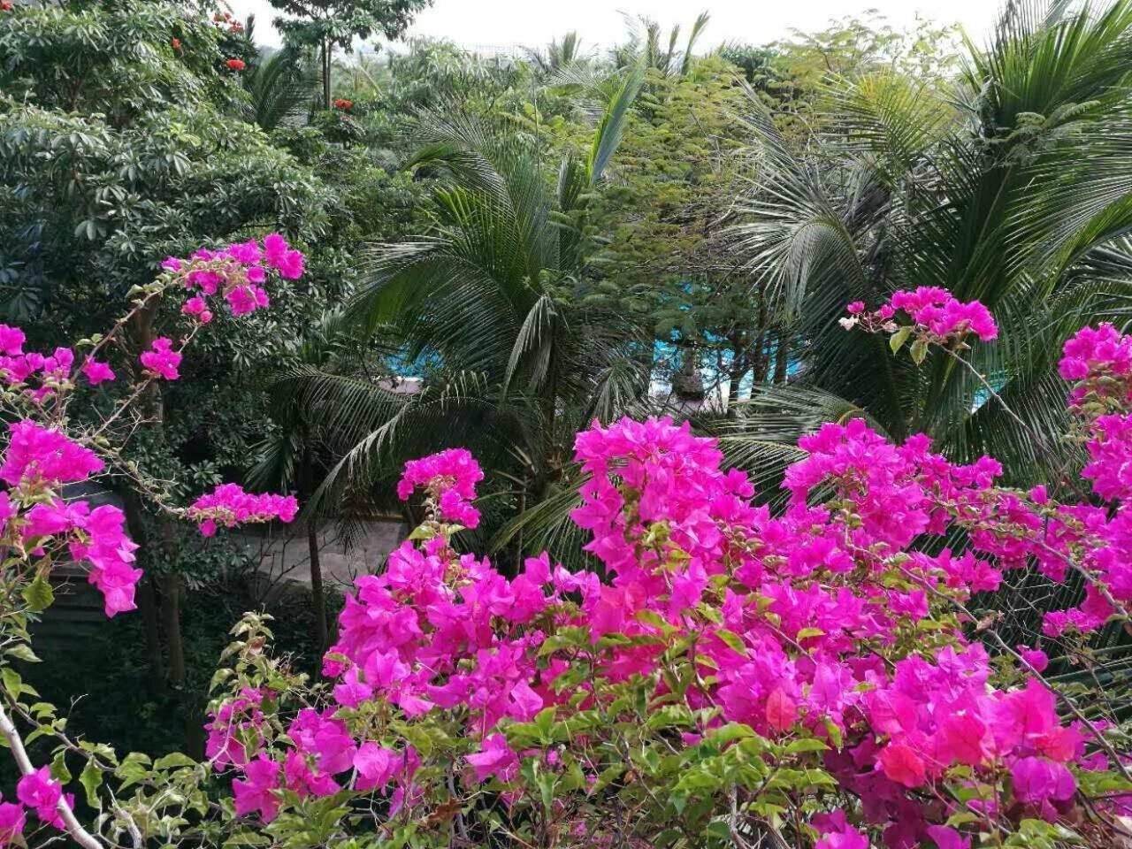 Stony Brook Villa Jianguo Resort Sanya Dış mekan fotoğraf